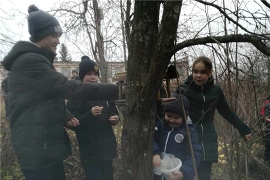Учащиеся МБОУ «Балдаевская СОШ» присоединились к районной экологической акции «Покормим птиц зимой»