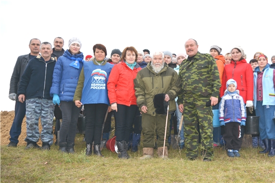 В рамках Всероссийской акции  «Живи, лес!»: в селе Яльчики посадили  более  1500  саженцев  сосны.