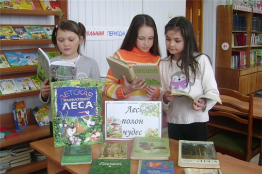 В Аликовской детской библиотеке прошел экологический час «Лес наш друг»