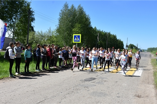 Прошел очередной День здоровья и спорта в Аликовском районе