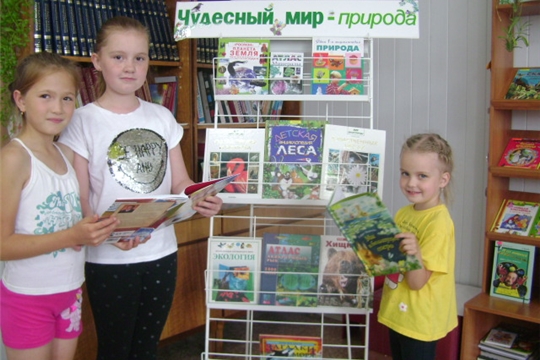 В Аликовской детской библиотеке провели познавательную игру «С кузовком и лукошком»