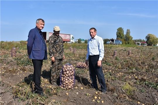 Глава администрации Аликовского района Александр Куликов ознакомился с ходом сезонных полевых работ
