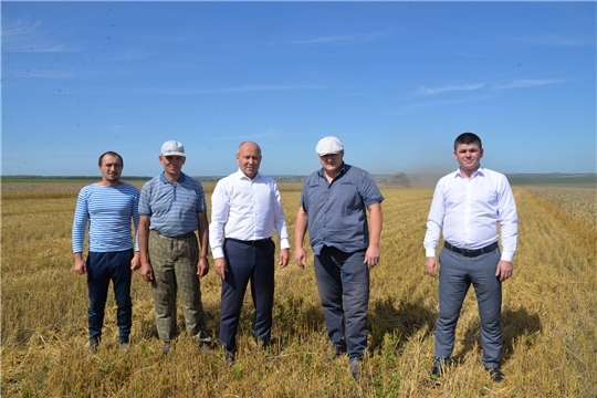 В ЗАО «Батыревский» завершена уборка зерновых и зернобобовых