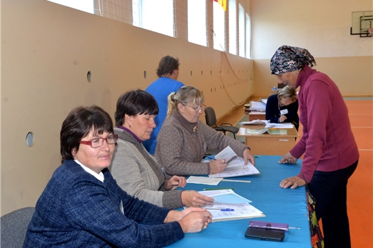 Ход дополнительных выборов в Тойсинском сельском поселении