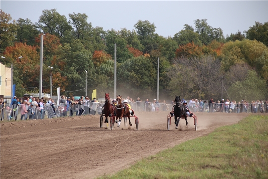 Соревнования  по конному спорту «Рысистые бега» в Новочебоксарске