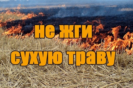 На территории Чебоксарского района с 25 апреля 2019 года будет введен противопожарный режим