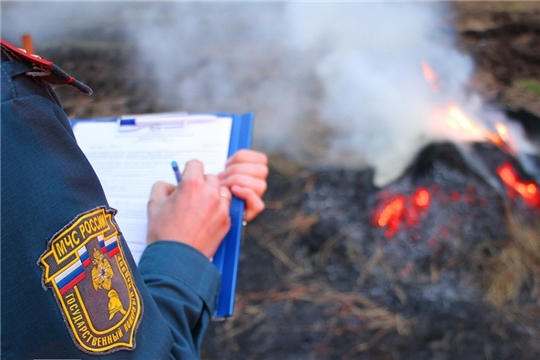 В Чувашии 134 человека привлечены к ответственности за сжигание сухой травы и разведение костров