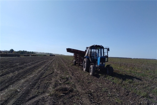 В Чебоксарском районе идет уборка картофеля