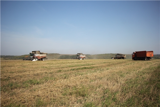 В Чебоксарском районе завершается уборка зерновых