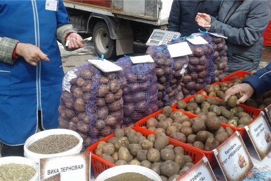 Цены дешевле, чем в  магазинах: в Чебоксарах начал работу месячник по продаже сельскохозяйственной продукции «Весна – 2019»