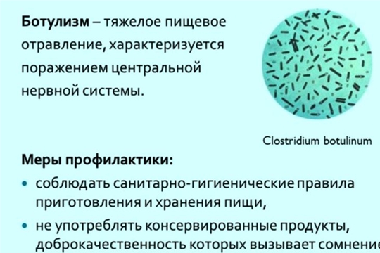 Ботулизм и меры его профилактики