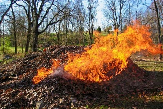 Сжигать листву – опасно