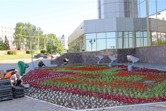 В Чебоксарах в юбилейный год стартовал конкурс «Цветами улыбается наш город»