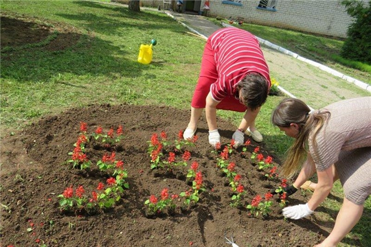 К 550-летию г. Чебоксары: жители Калининского района участвуют в конкурсе «Цветами улыбается наш город»