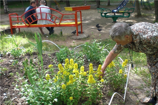 ТОСы Калининского района облагораживают городскую среду к 550-летию г. Чебоксары