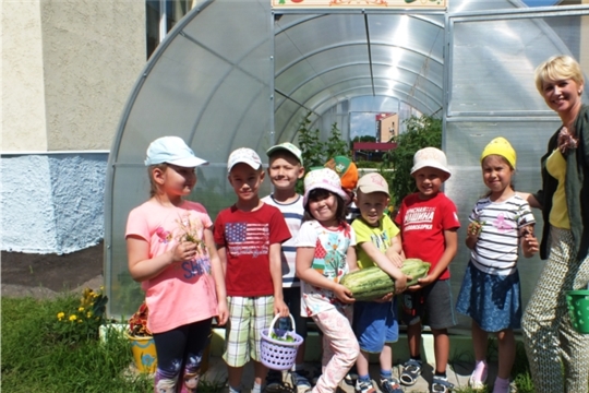 Детские сады города Чебоксары реализуют природоохранный социально-образовательный проект «Эколята-дошколята»