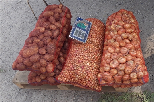В Калининском районе продолжает работу месячник по продаже сельхозпродукции «Дары осени»