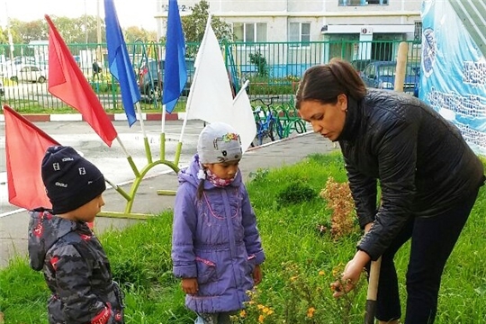 Детские сады  участвуют в экологической акции «Чебоксары – зеленая столица»