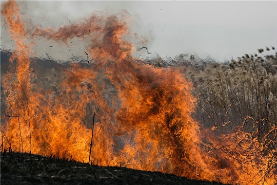 ГКЧС Чувашии: сжигание сухой травы может привести к пожару