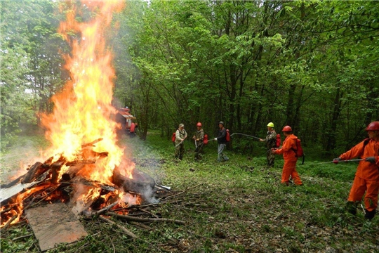 В Шемурше прошли учения пожарных