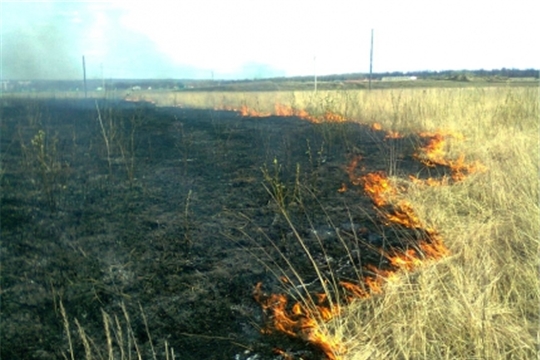 С 1 мая 2019 г. на территории Чувашской Республики  введен особый противопожарный режим