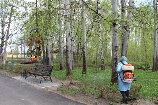 Городской парк шумерля