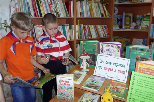 Всемирный день окружающей среды в библиотеках города Шумерля отметили тематическими мероприятиями
