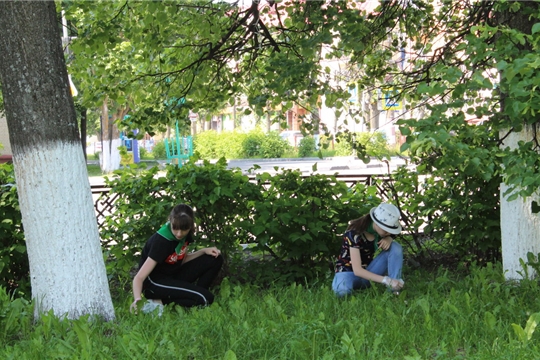 Благоустройство городского парка юными экологами