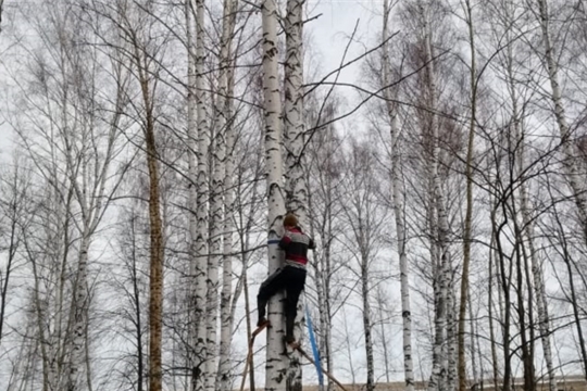 Субботник на кладбище деревни Нижние Кибечи