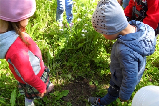 Экскурсия на природу: «В мире родной природы»