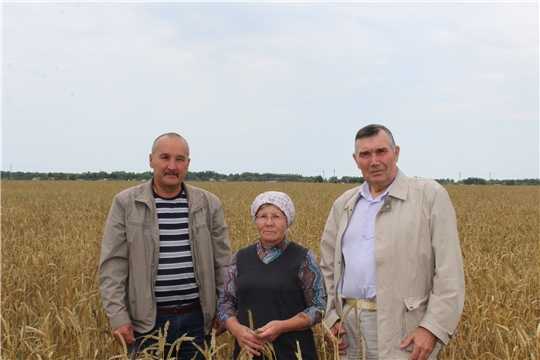 Осмотр полей