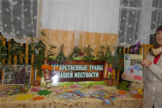 Лекарственные травы, собираемые в сентябре