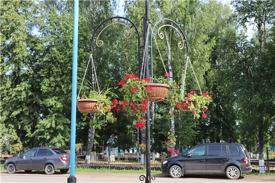 В юбилейный год село Комсомольское украшают более десятка тысяч цветов