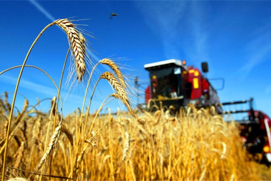 Сельхозпроизводители Чувашской Республики обеспечены необходимыми ресурсами для проведения весенней посевной кампании