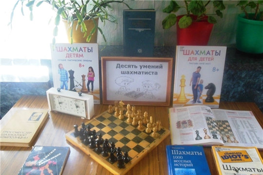 Выставка о шахматах в межпоселенческой библиотеке