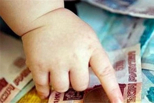 На ежемесячные выплаты на первого ребенка в 2020 году будет направлено около 900 млн. рублей