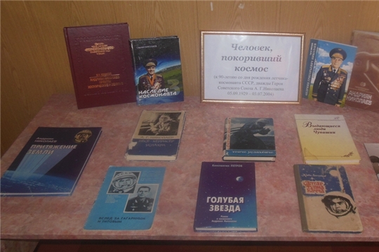 В межпоселенческой библиотеке выставка к юбилею А.Г. Николаева