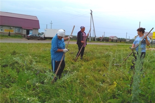 Экологический субботник по скосу сорной растительности на территории Еметкинского сельского поселения