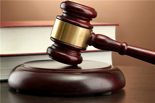 Козловским районным судом вынесен приговор  за неуплату средств на содержание детей