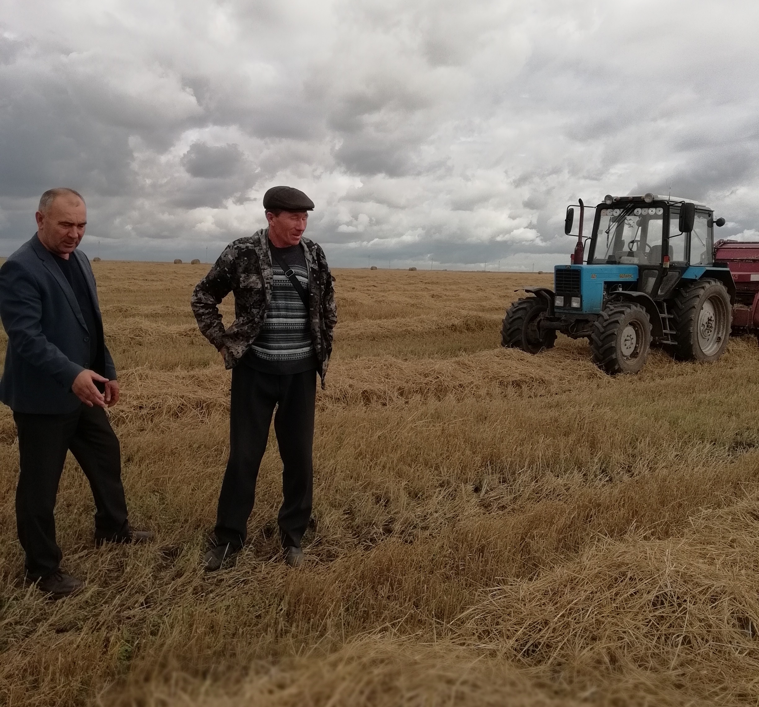 Сха. СХА Досаево. СХА Досаево Красноармейский район. СХПК Нива Красноармейский район Чувашской Республики. КФХ Нива Томская область.