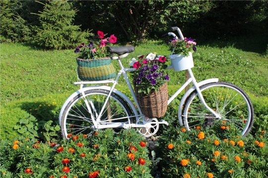 Благоустройство: цветочная композиция из старого велосипеда