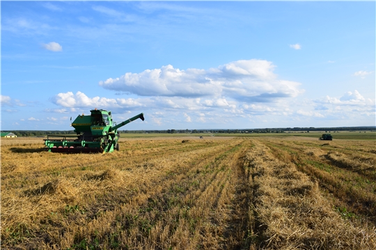 Очередной день приносит новые вести с хлебных полей Красночетайского района