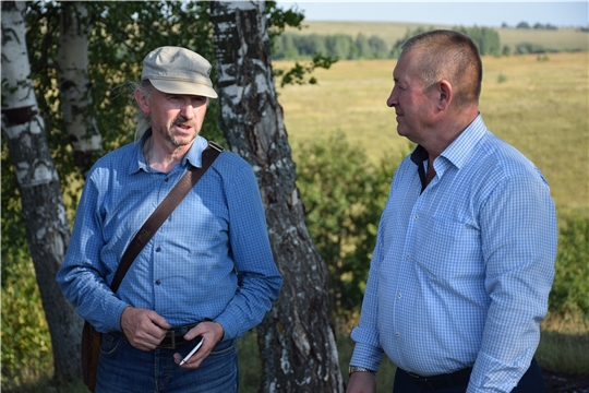 Пример того, как делать дело. В СПОК «Пелагея» ведется сбор первого урожая огурцов с открытого грунта