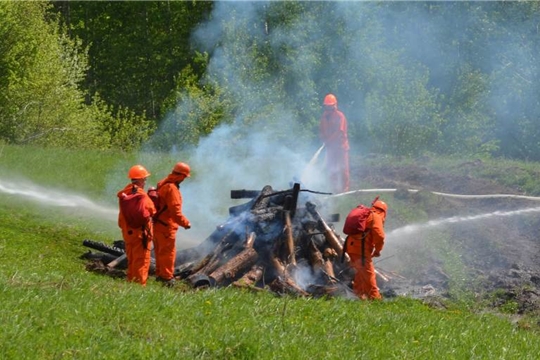 В Мариинско - Посадском районе  проведены тактико-специальные учения по тушению условного лесного пожара