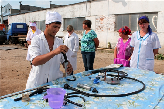 В Мариинско-Посадском районе состоялся конкурс мастеров машинного доения коров