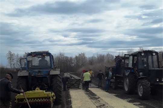 В лесных питомниках проводятся посевные работы