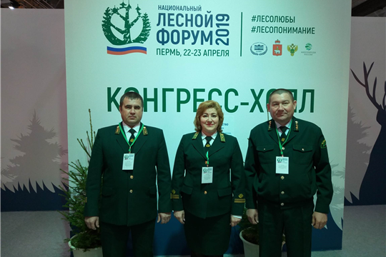 Сотрудники Минприроды Чувашии приняли участие в Национальном лесном форуме в г. Пермь