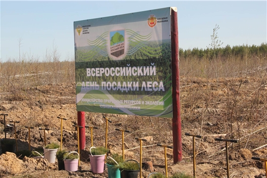 27 апреля пройдет Всероссийский день посадки леса (НТРК)