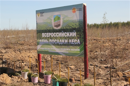 В Заволжье прошел Всероссийский день посадки леса