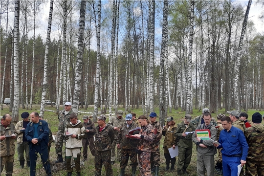 На территории Чувашской Республики проводится лесоустройство